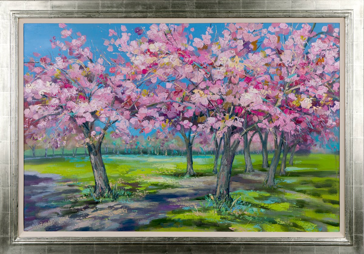 Cherry Blossom Walk