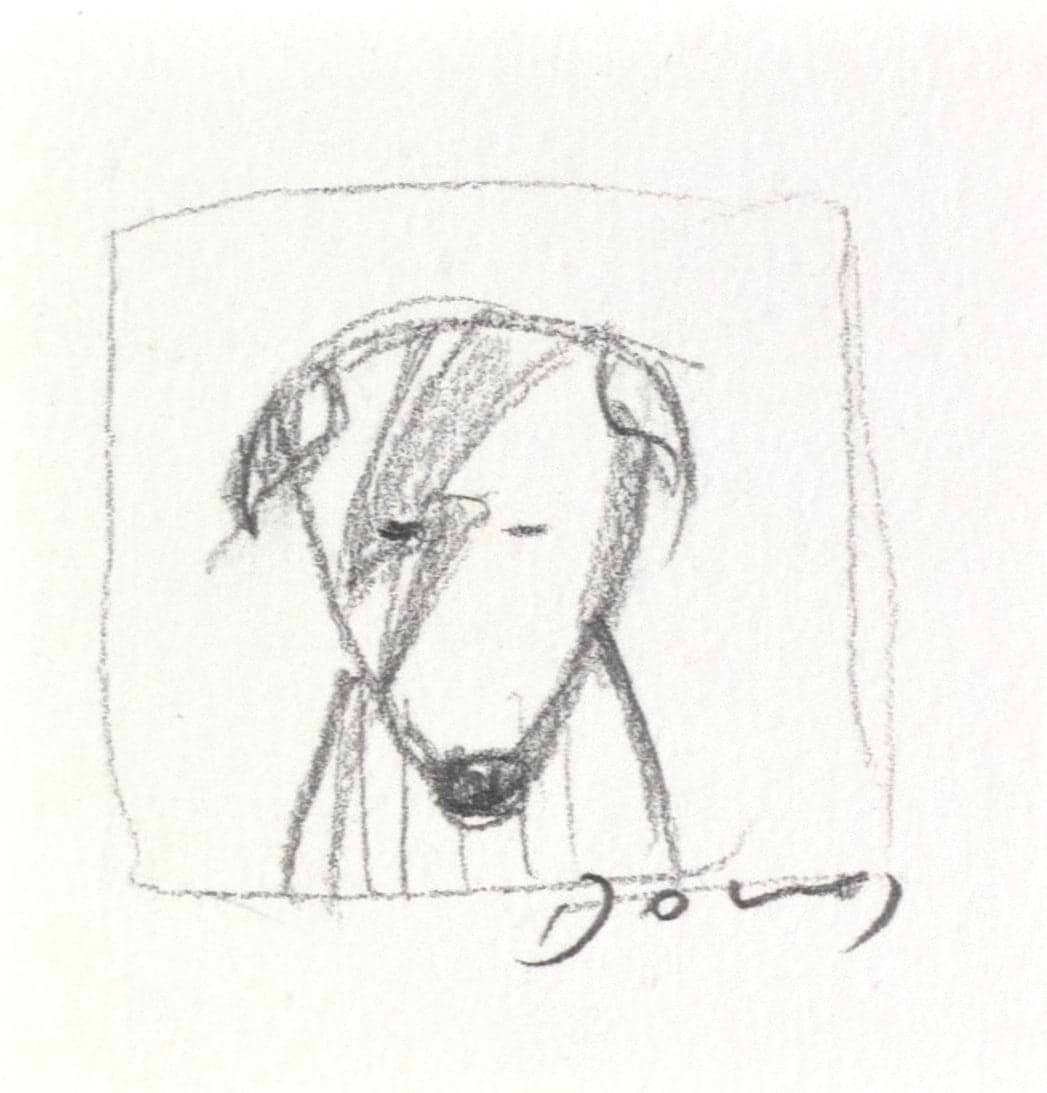 Stardust (Sketch)