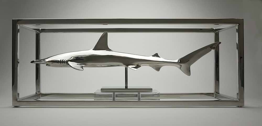 Hammerhead Shark