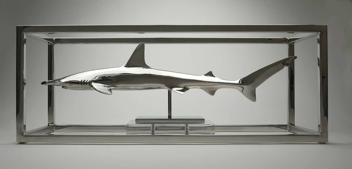 Hammerhead Shark