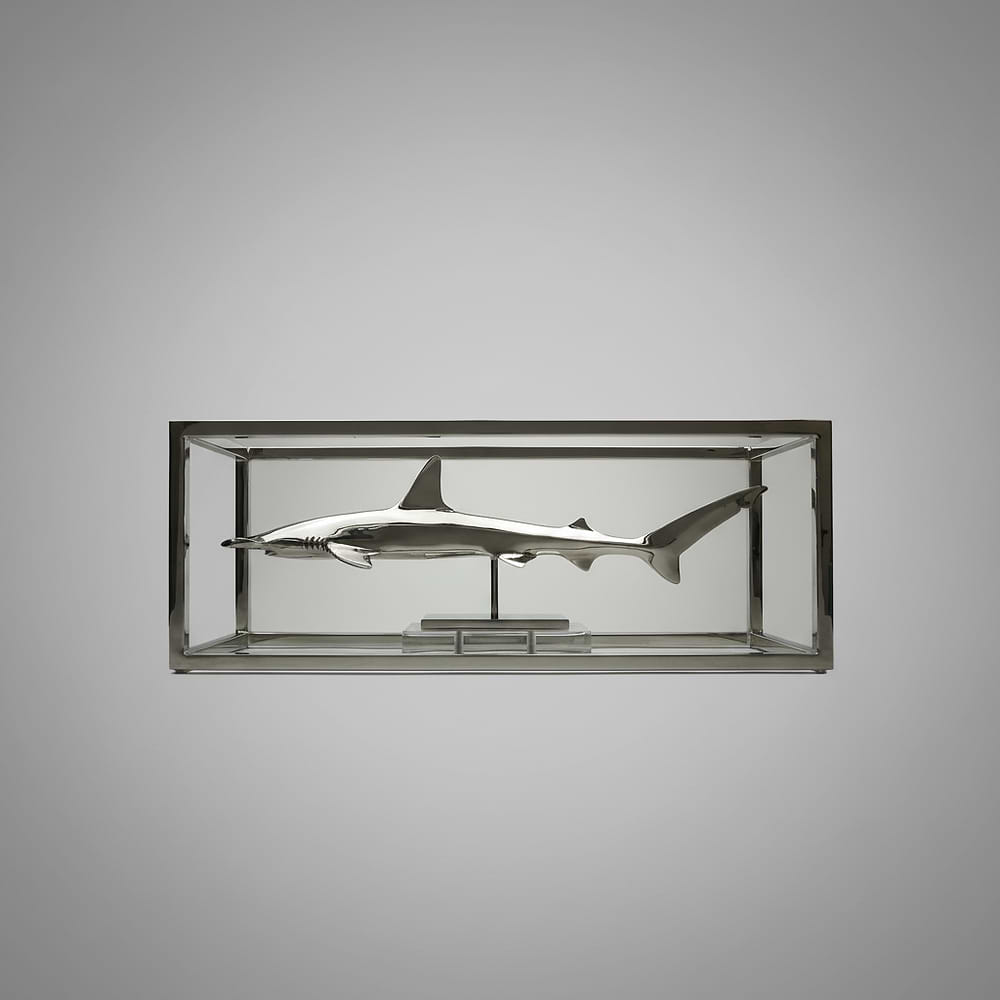 Hammerhead Shark