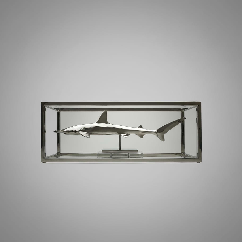 Hammerhead Shark