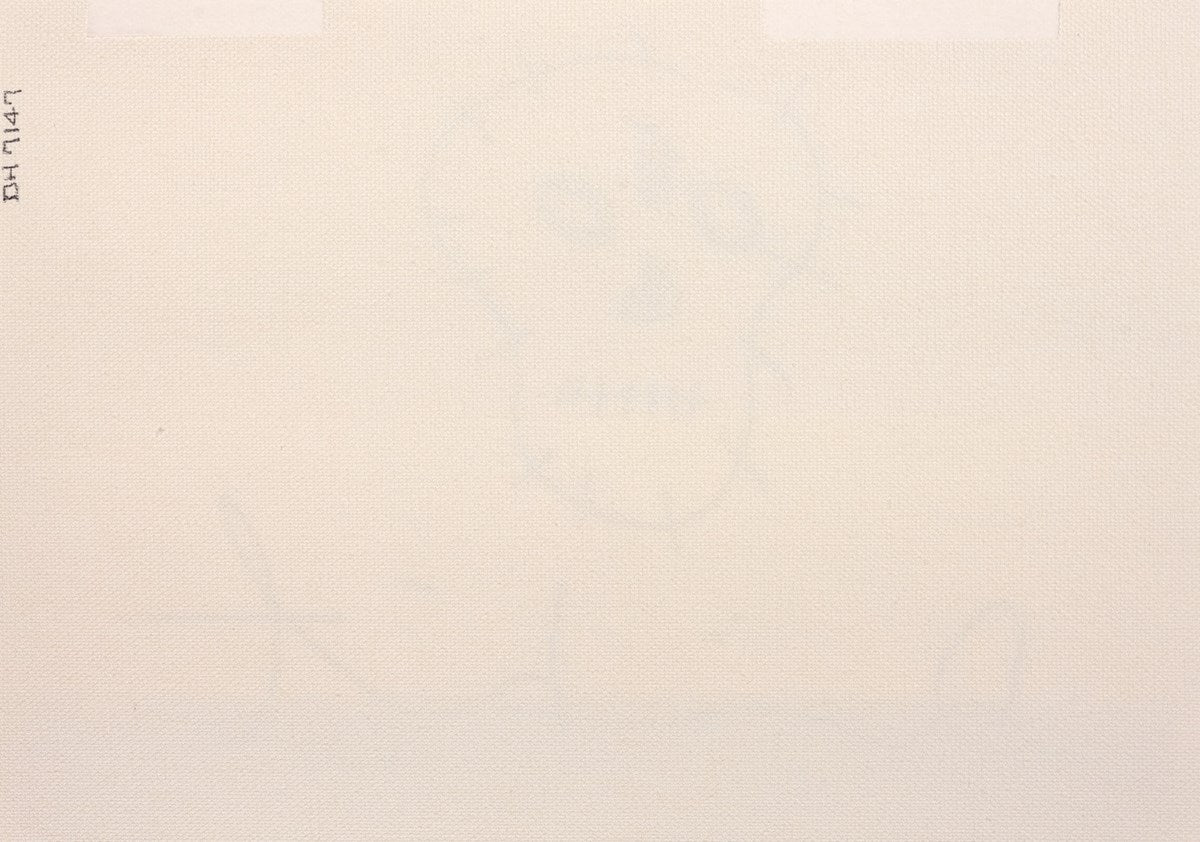 Skull Sketch (Detail1)