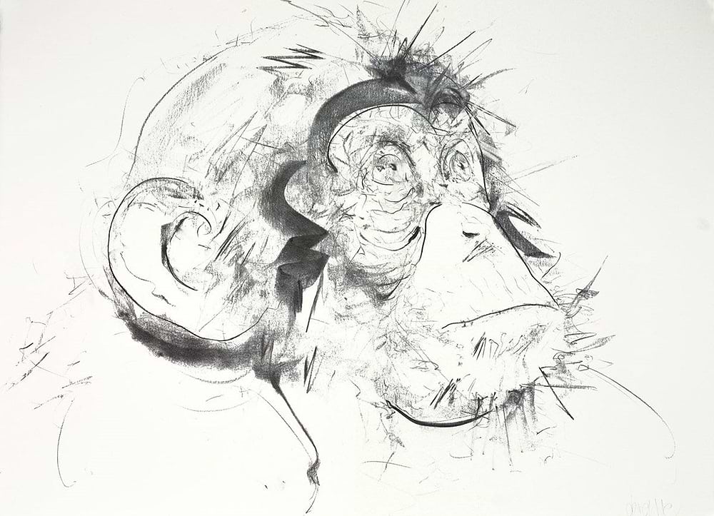 Chimp III (Study)
