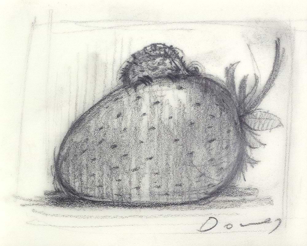 Strawberry and Dreams V (Sketch)