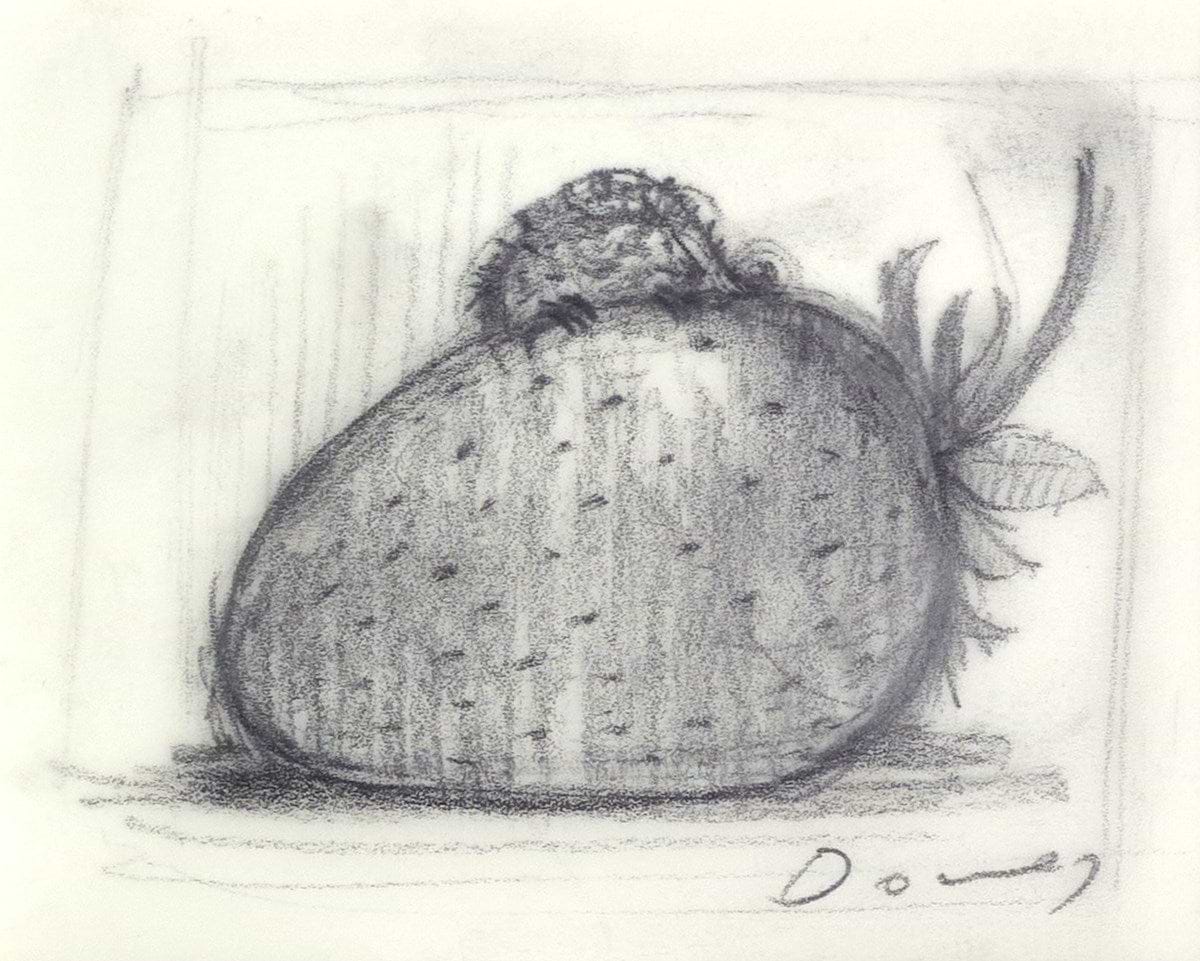 Strawberry and Dreams V (Sketch)