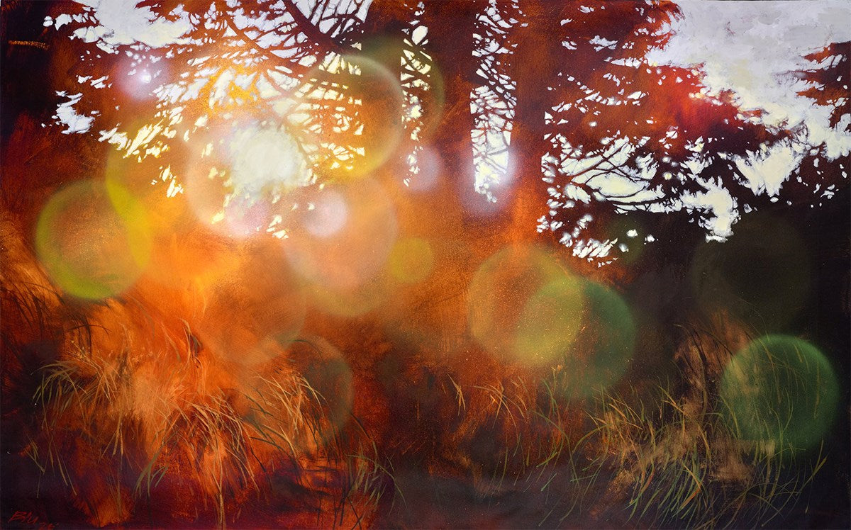Light Flares