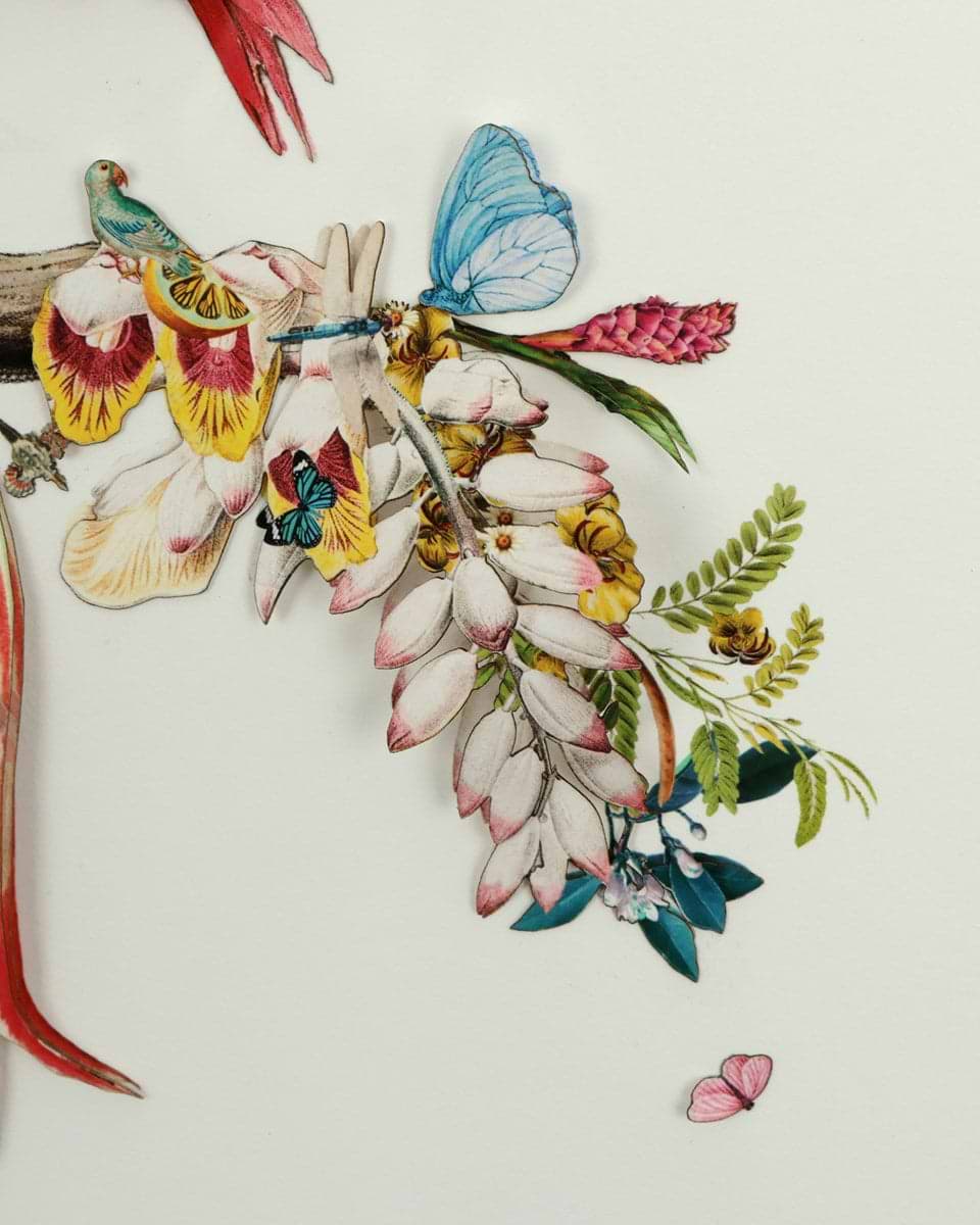 Botanical Harry Gin Bird II