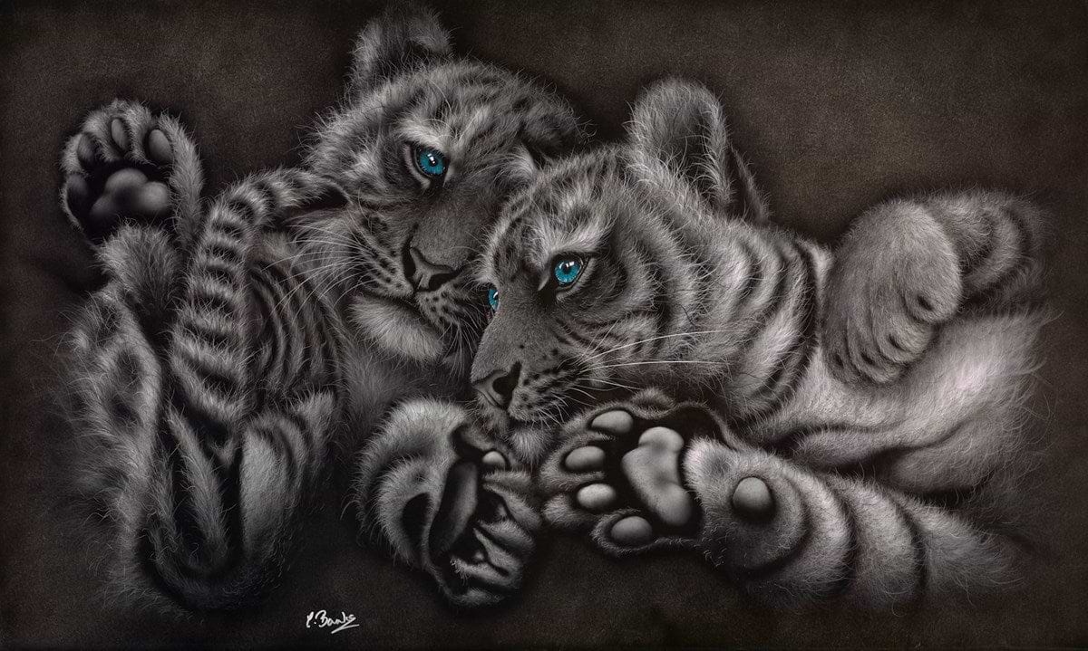 All Paws