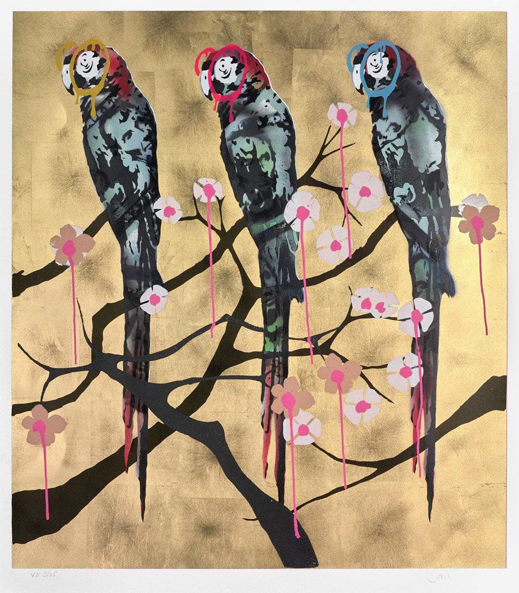 Polly Folly 3/25