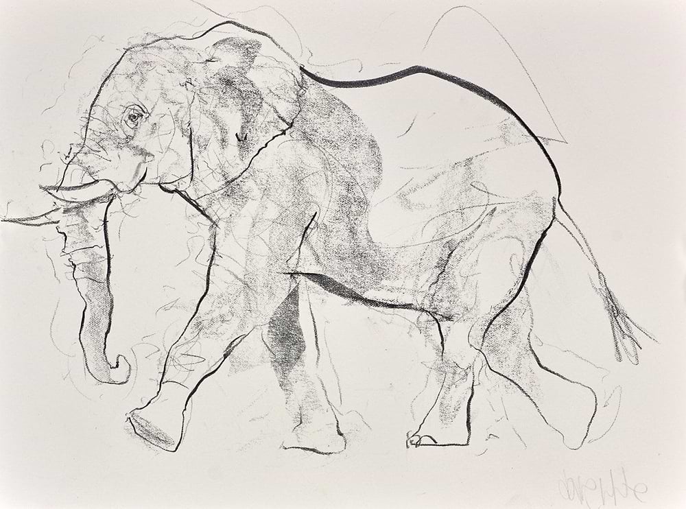 Elephant Study XXII