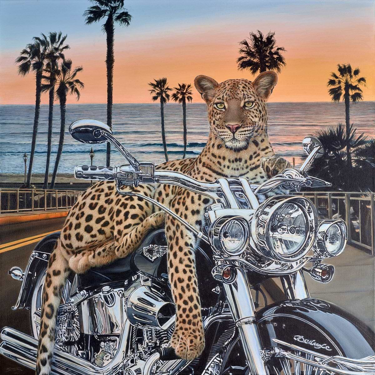 Ride into the Sunset