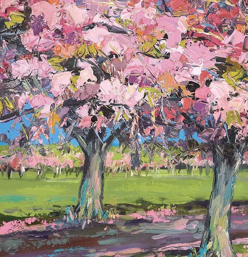Sun On Cherry Trees | Judith Bridgland – Clarendon Fine Art