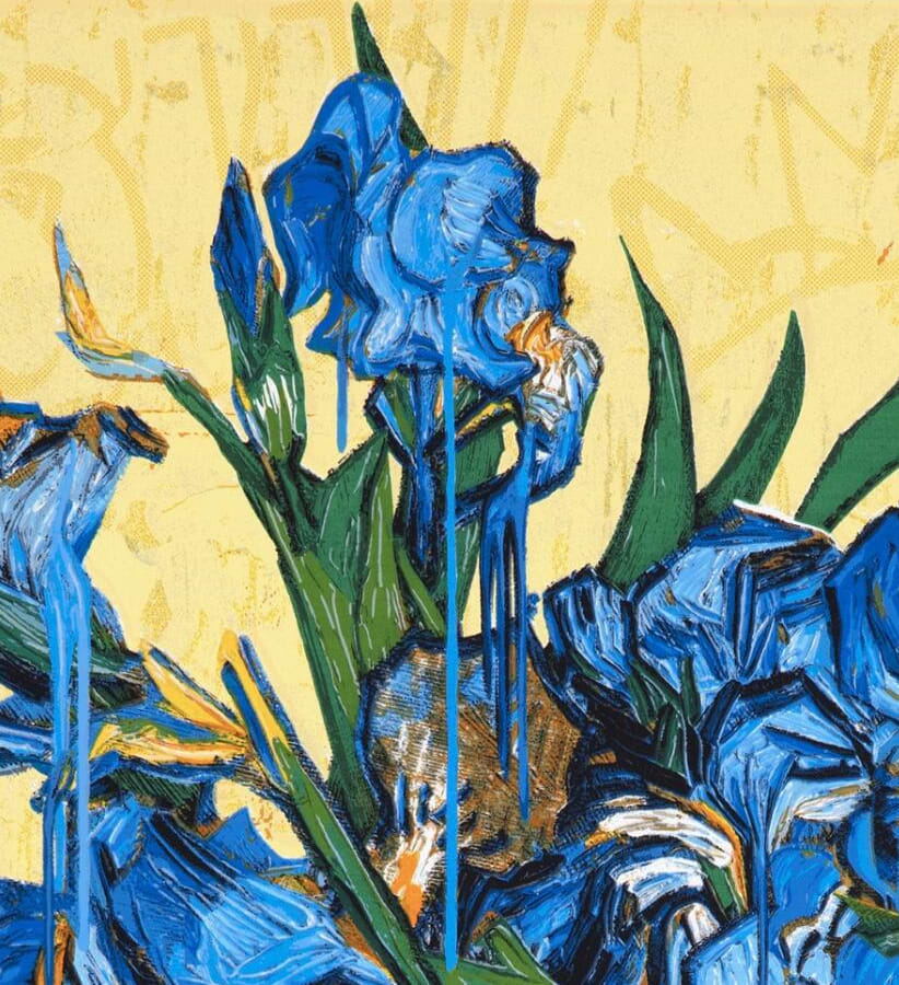 Iris