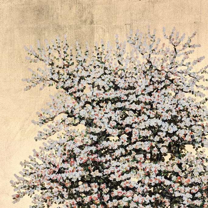 Lady Marmalade , Flowering Damson