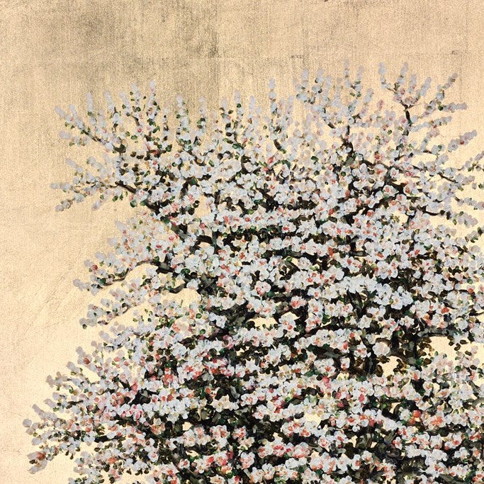 Lady Marmalade , Flowering Damson