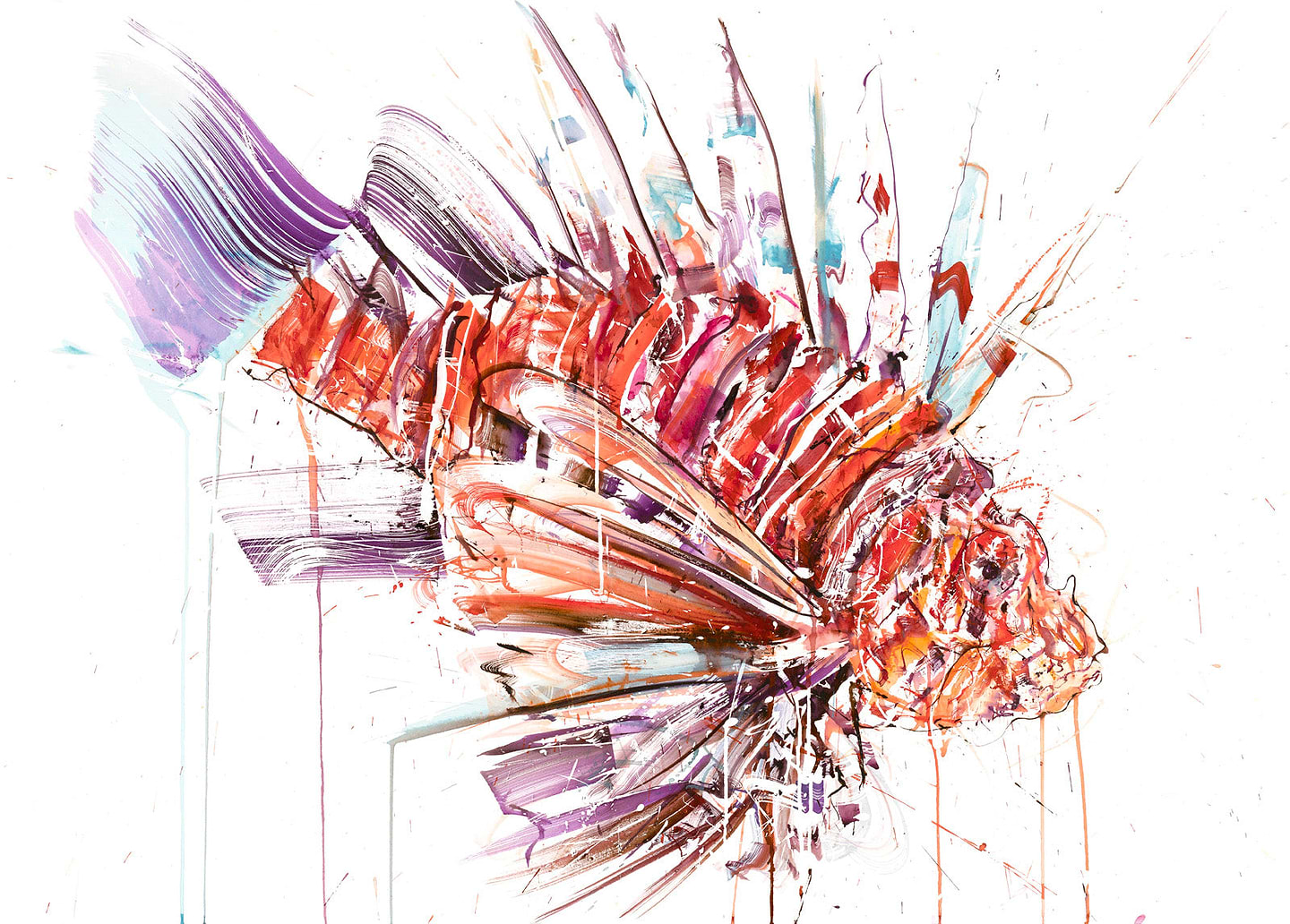 Lion Fish