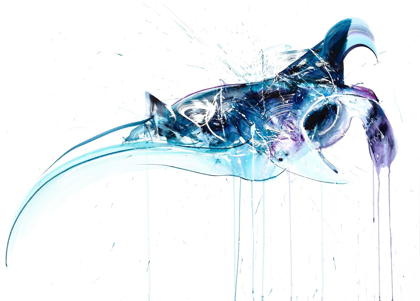 Manta Ray