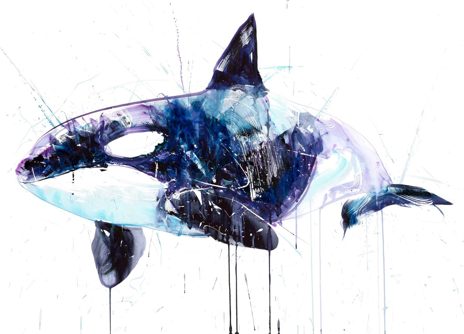 Orca