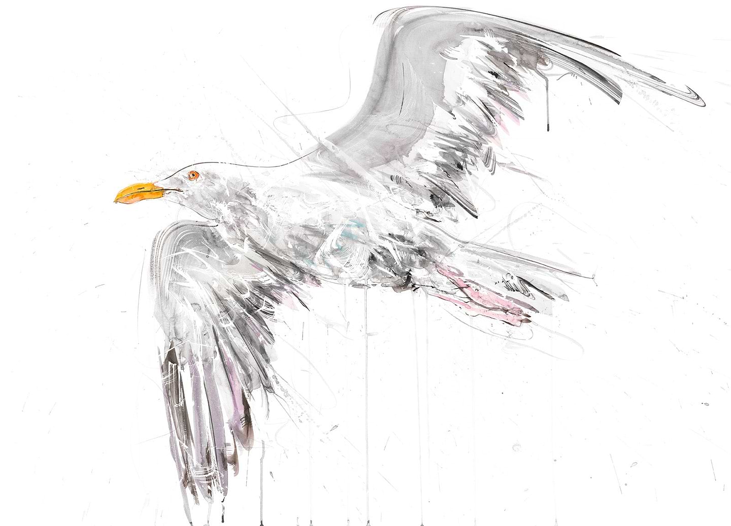 Seagull