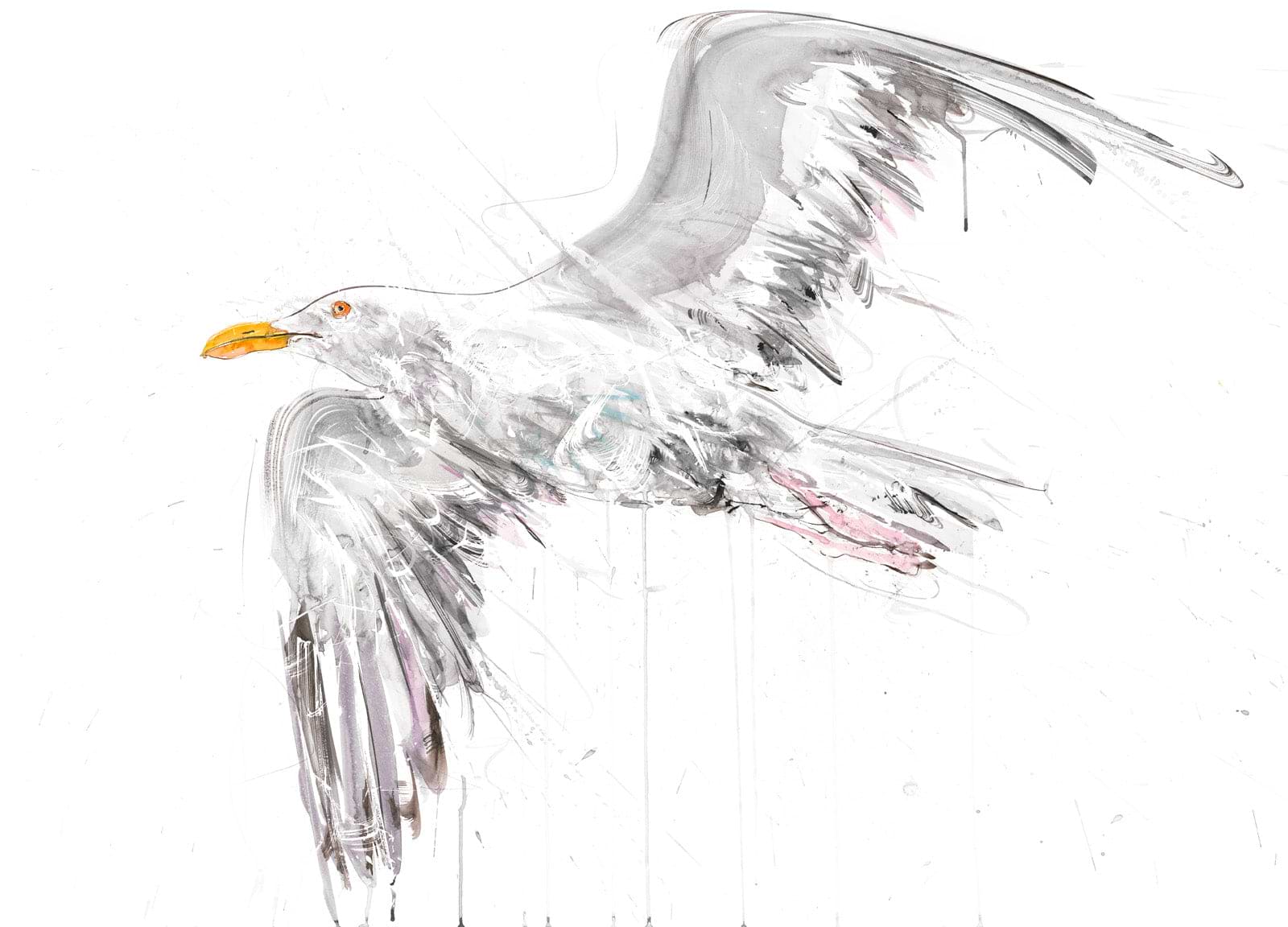 Seagull