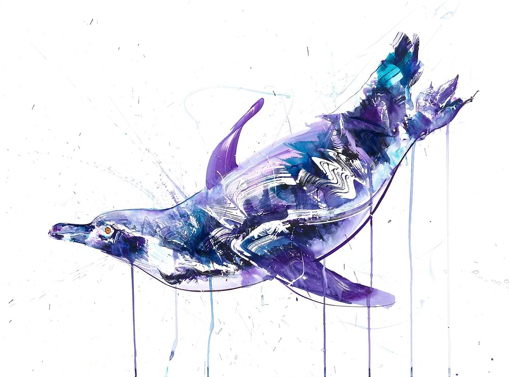 Swimming Penguin II