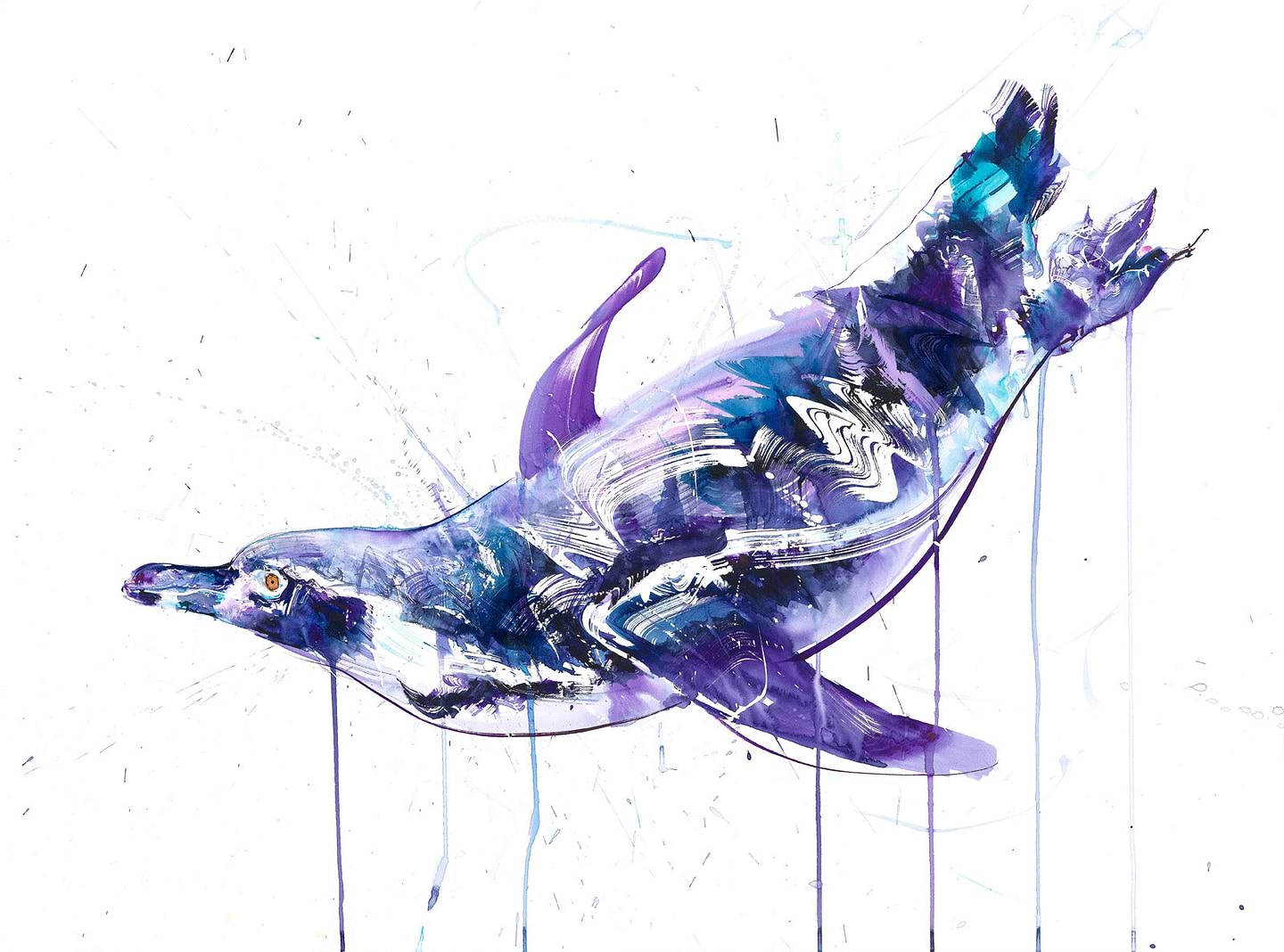 Swimming Penguin II
