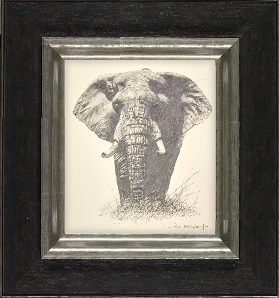Lone Elephant