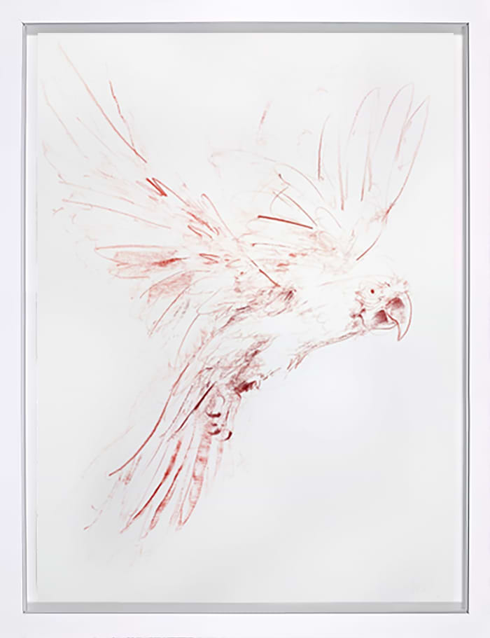 Flight Study I