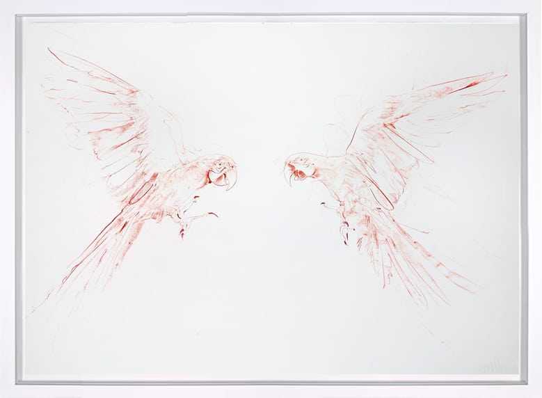 Flight Study III