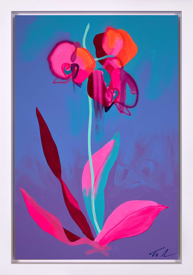 Purple Orchid