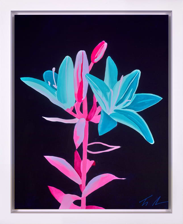 Inverted Lily