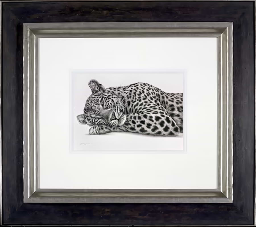 Lazing Leopard