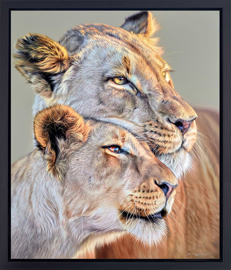 Tough & Tender