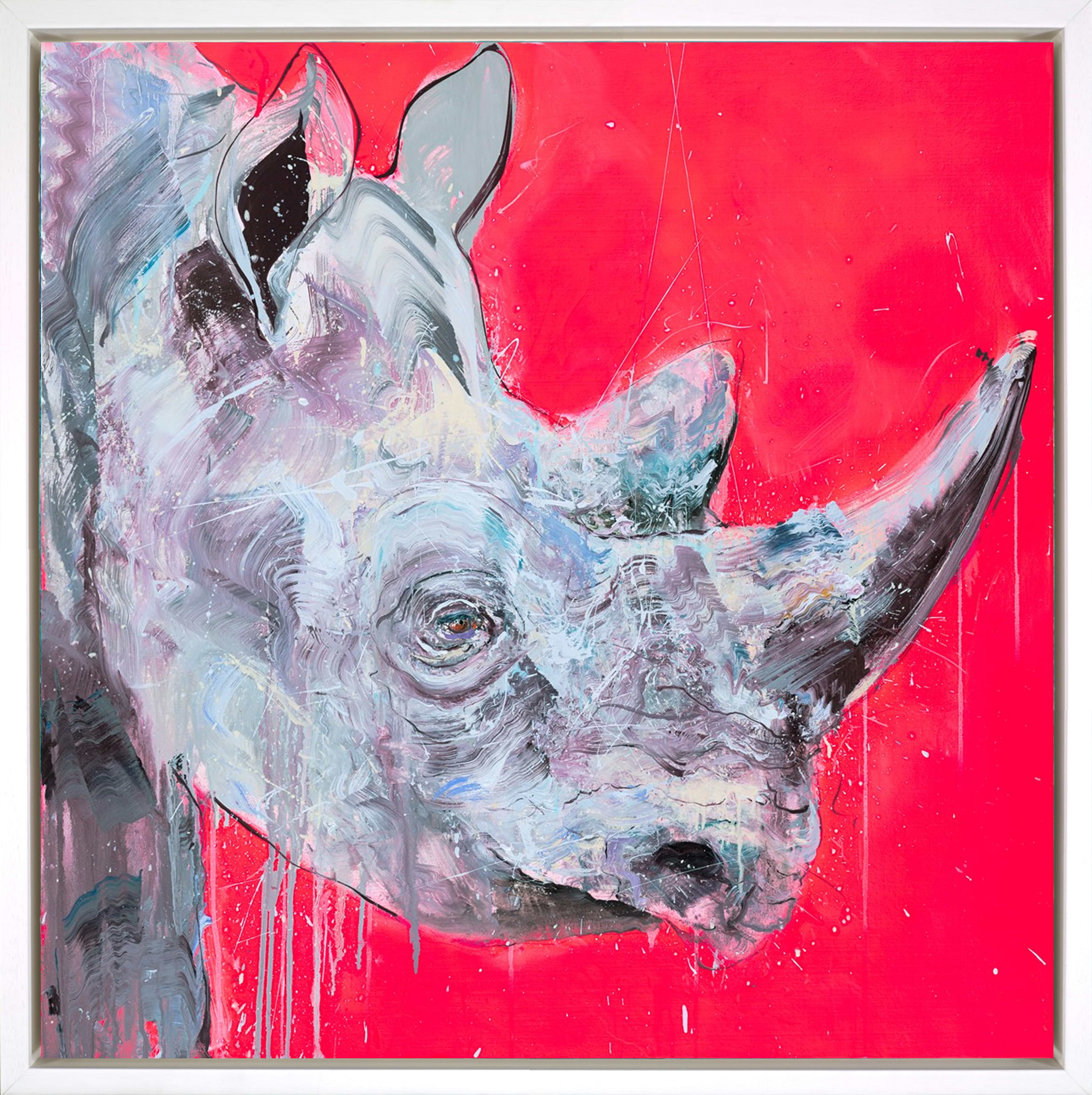 Black Rhino
