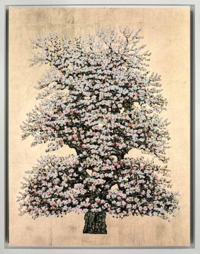 Lady Marmalade , Flowering Damson