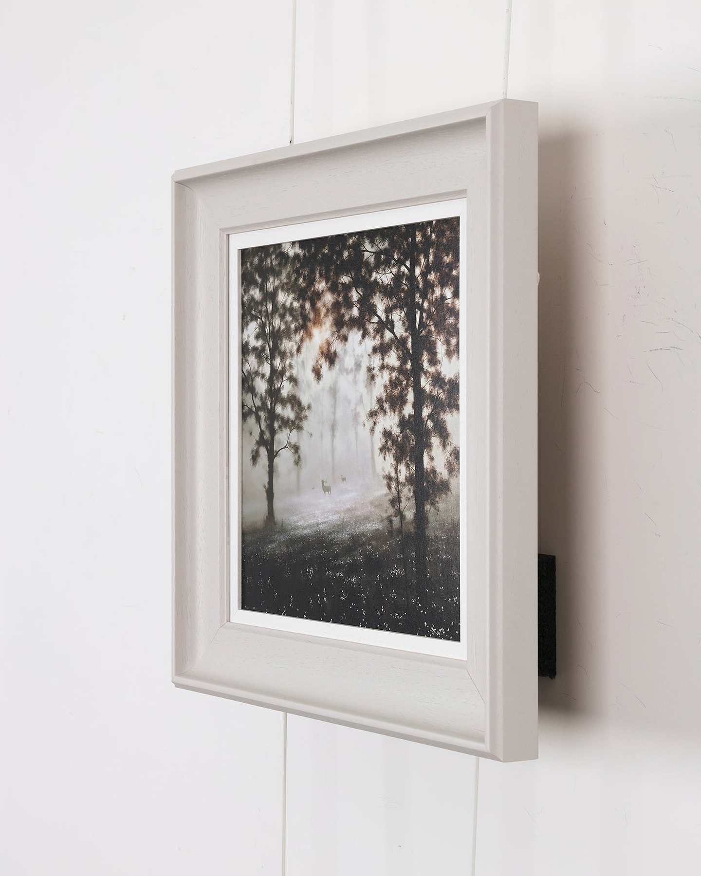 Woodland Harmony