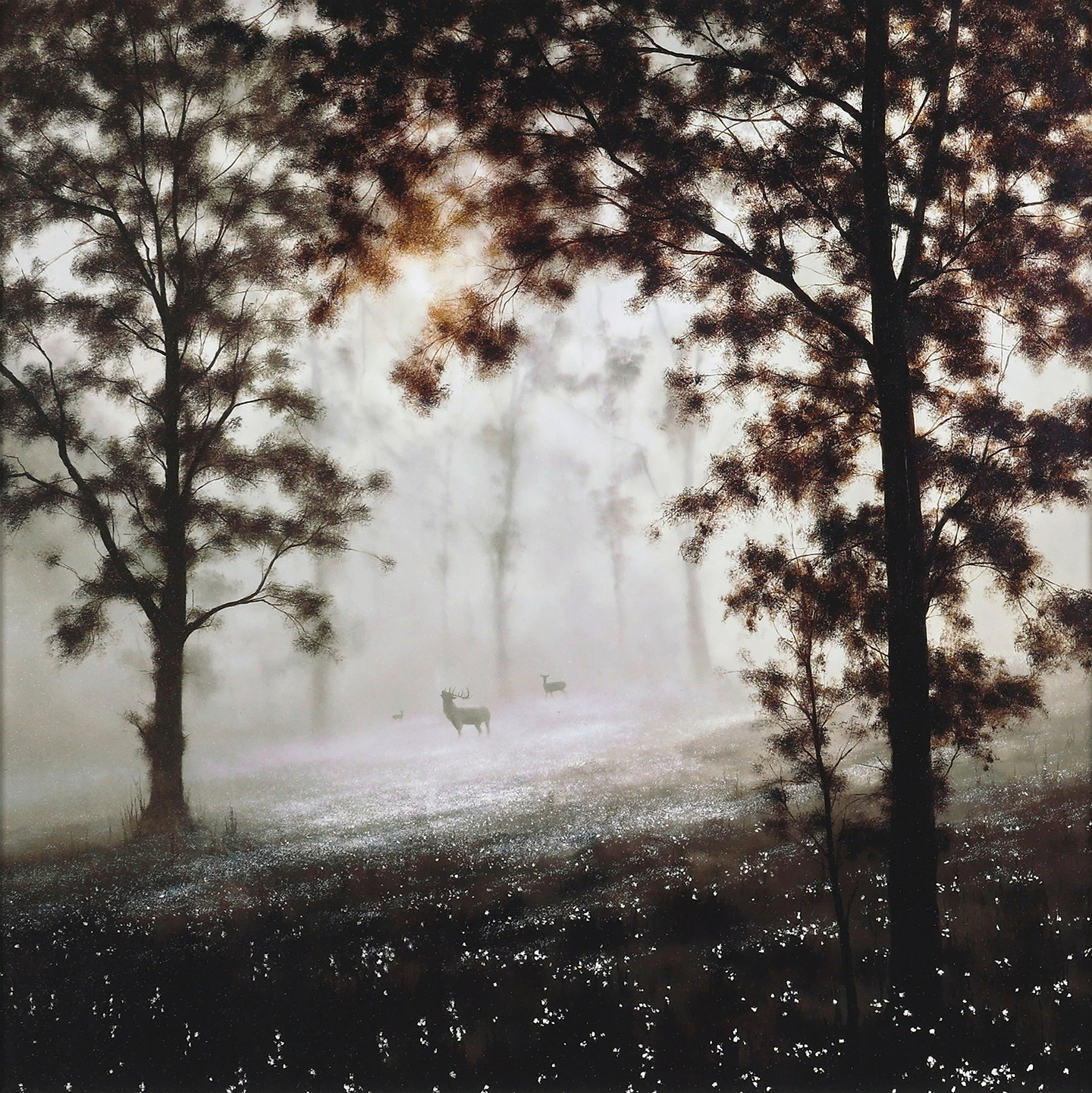 Woodland Harmony