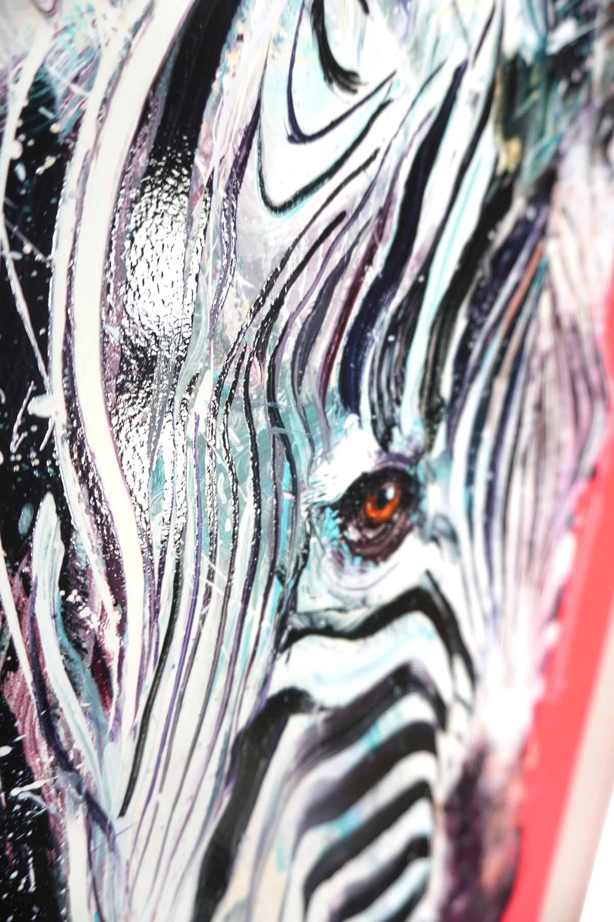 Grevy's Zebra I
