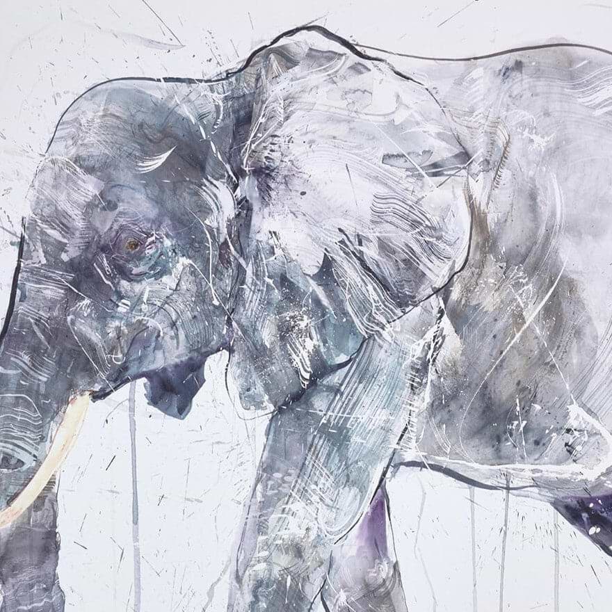 Elephant And Calf