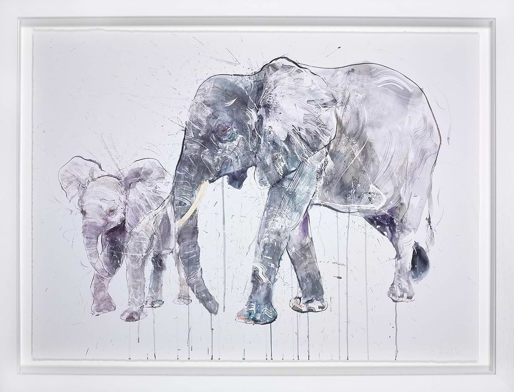 Elephant And Calf