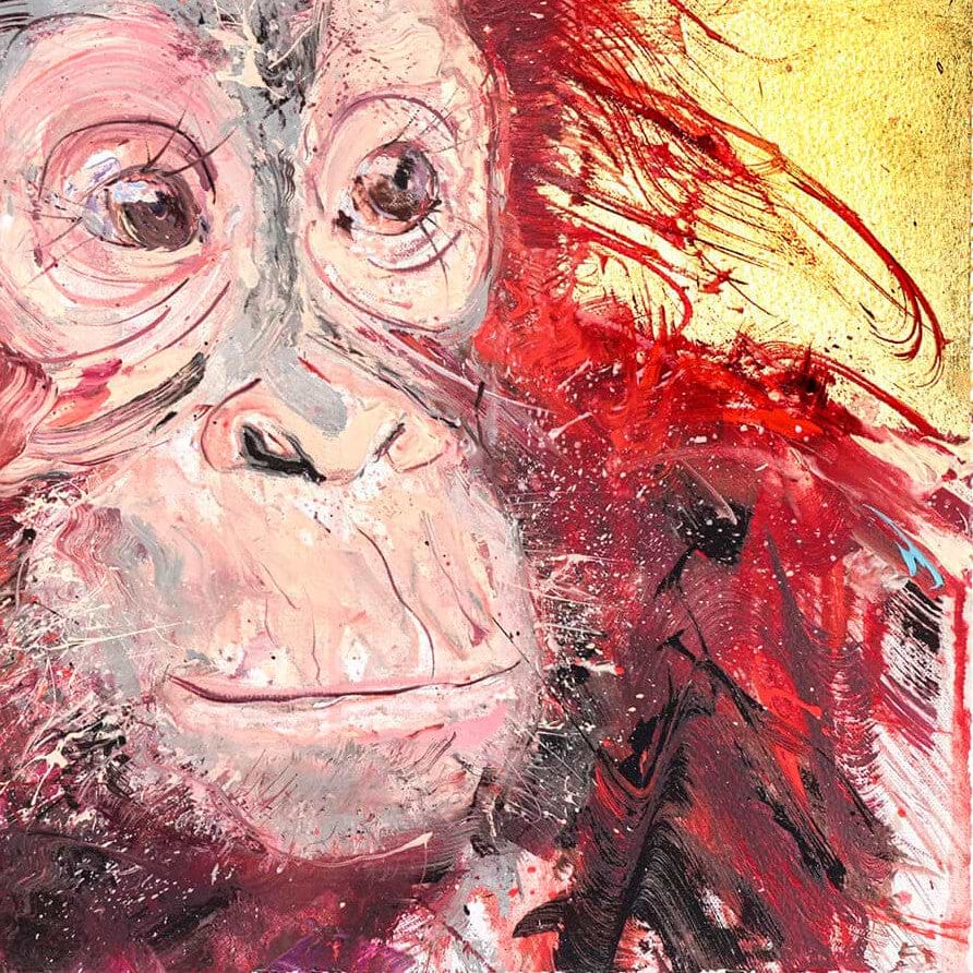 Baby Orangutan