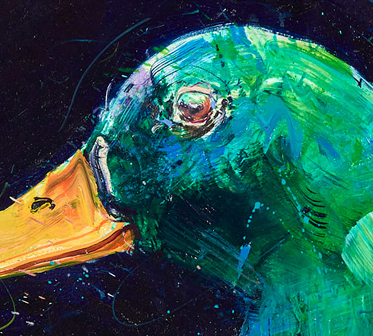 Duck Study II
