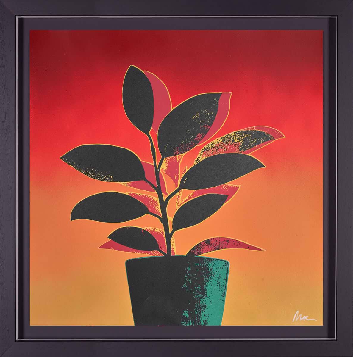 Ficus Fabulosa - Green/Red