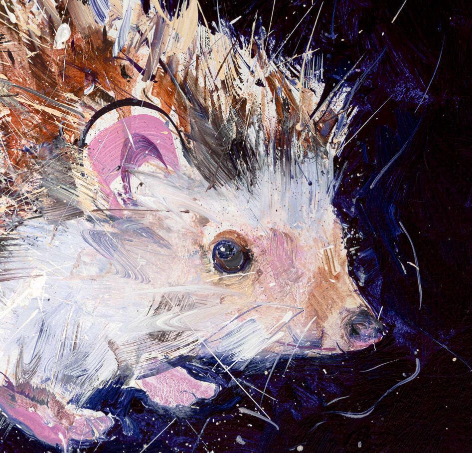 Hedgehog