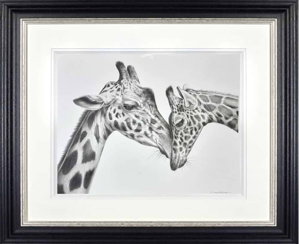 Giraffe Love (Framed)