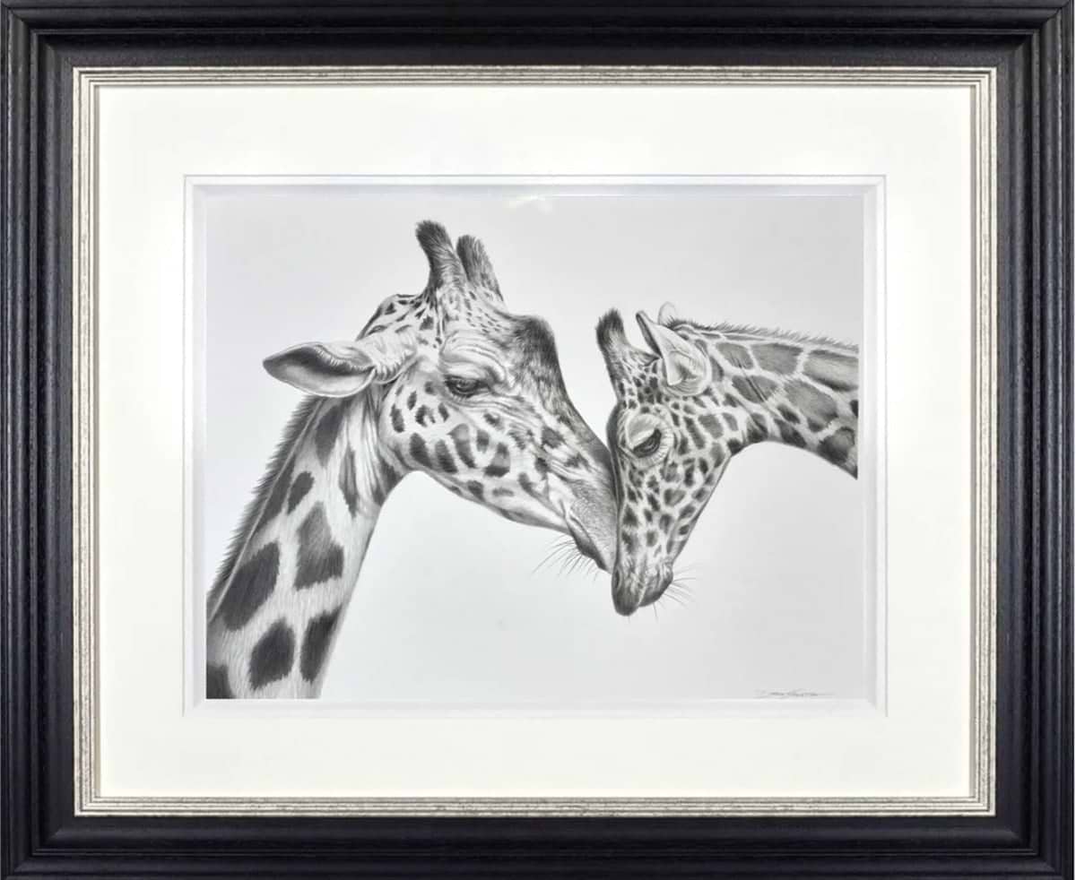 Giraffe Love (Framed)