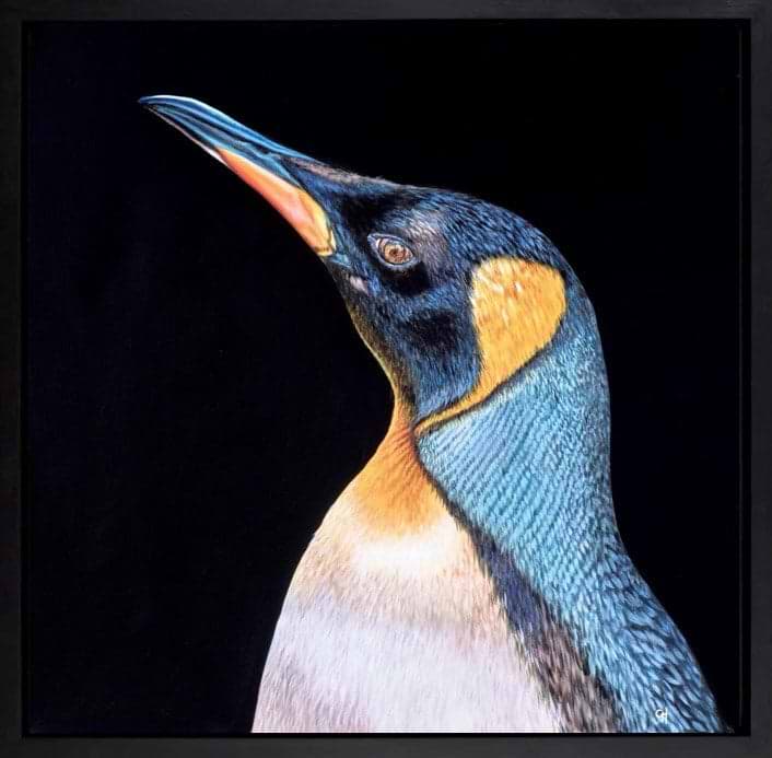 Penguin (Framed)