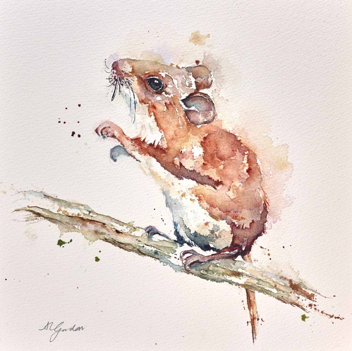 Field Mouse II