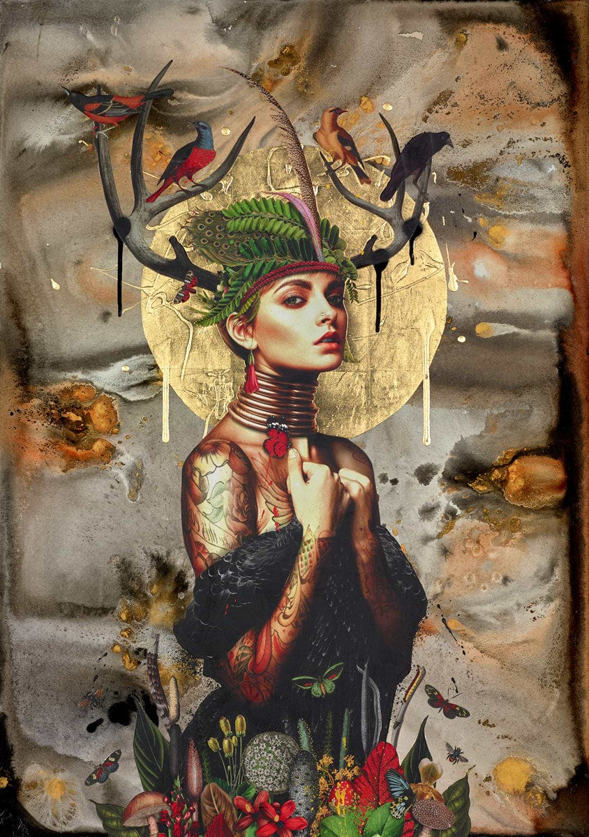 Spirit of The Forest II